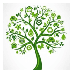 Ist VitalEurope umweltfreundlich?